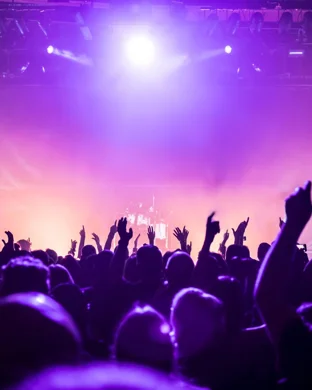 Chicago - The Band & Styx
